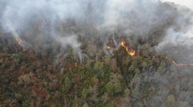 Trabzon´da 2 ilçede orman yangını