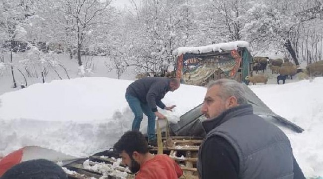 Çöken ahırın altında kalan hayvanlar kurtarıldı