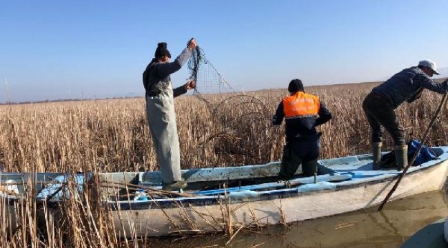 Ulubat gölünde pinter ile avlanılan 500 kilo balık ve 27 kaplumbağa doğaya bırakıldı