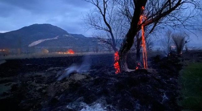 Burdur'da 50 dönüm sazlık yandı