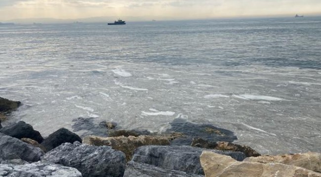 Pendik ve Kartal sahilinde tedirgin eden görüntü; Daha önce rastlamamıştık