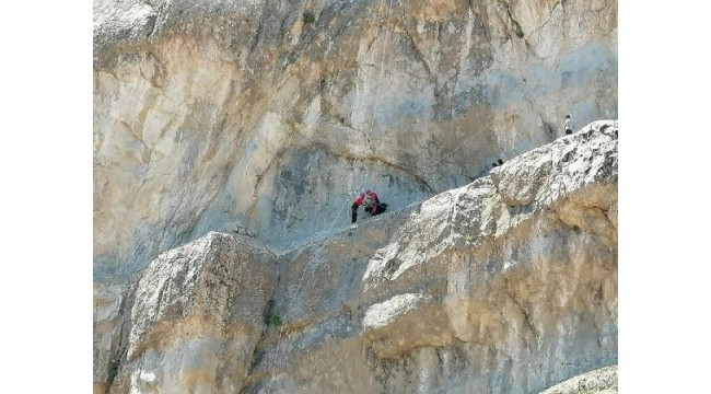 Kayalıklarda 2 gün mahsur kalan 17 keçiyi jandarma kurtardı