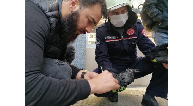 Silivri'de ayağına ip ve poşet dolanan kargayı itfaiye kurtardı