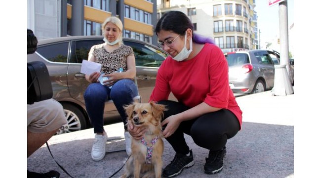 YKS'Ye köpeğiyle geldi; son ana kadar yanından ayrılmadı