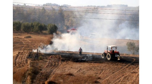 Adana'da orman yangını