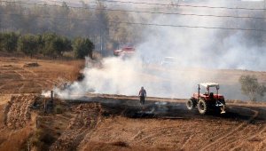 Adana'da orman yangını