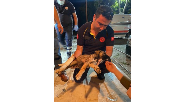 Ambulansla istasyona dönen sağlık ekibi, yaralı köpeğe müdahale etti