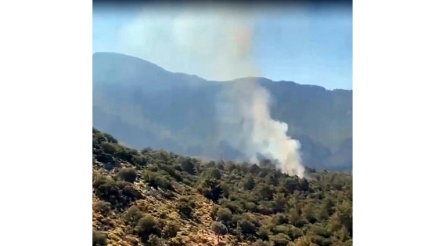 Fethiye'de alevler 5 dönüm kızılçam ormanını küle çevirdi