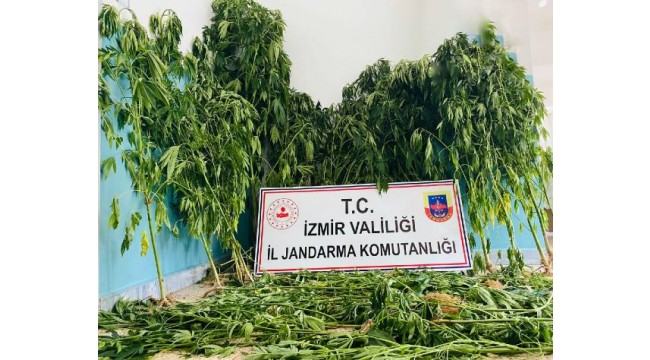 İzmir'in 9 ilçesinde uyuşturucu operasyonu: 12 gözaltı