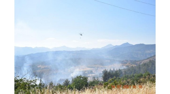 Kahramanmaraş'ta orman yangını