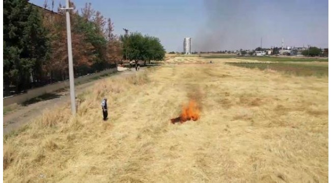 Şanlıurfa Ziraat Odası Başkanı: Anız yakmak toprağın yapısını bozuyor