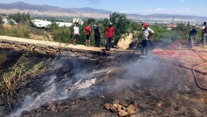 Alaşehir'de 10 dekar üzüm bağı ve zeytinlik yandı