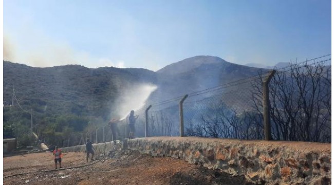 Bodrum'da makilik ve otluk alanda yangın