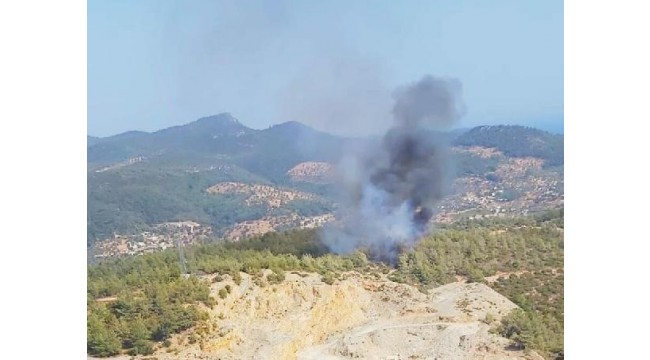 Bodrum'da orman yangını