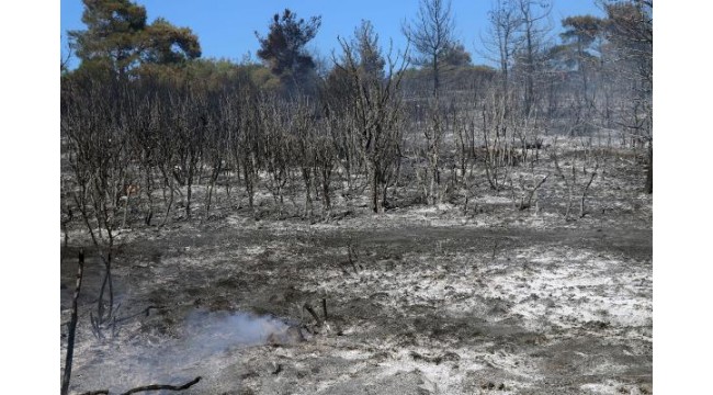 Çanakkale'de aynı bölgede 6'ncı orman yangını