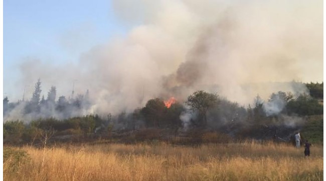 Gebze'de arazideki ot ve çalılar yandı