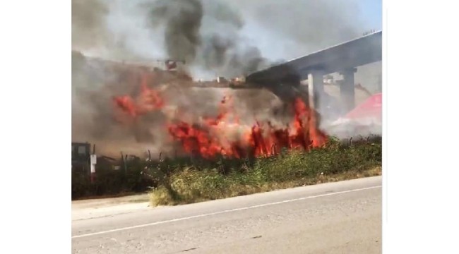 Gelibolu'da otluk alanda çıkan yangın büyümeden söndürüldü