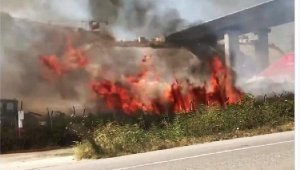 Gelibolu'da otluk alanda çıkan yangın büyümeden söndürüldü