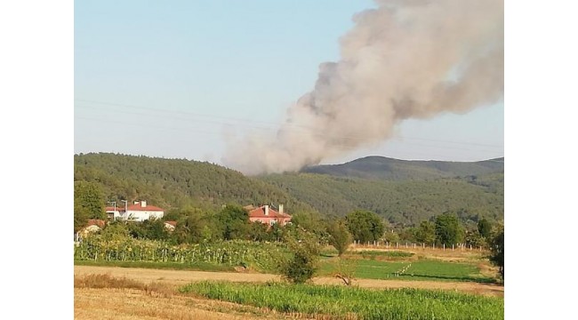 Harmancık'ta orman yangını