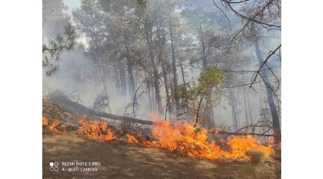 Kaş'ta orman yangını