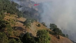 Köyceğiz yangınında 12'nci gün; havadan müdahale sürüyor