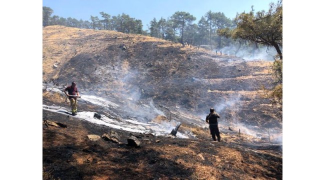 Nazilli'de çıkan orman yangınında 1 hektar alan zarar gördü