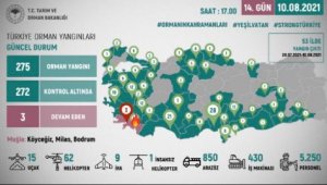 OGM: 275 orman yangınından 272'si kontrol altına alındı