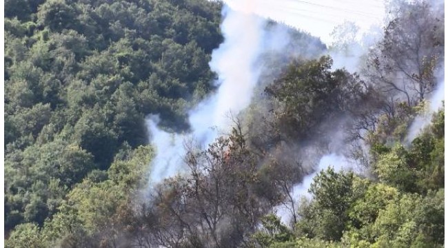 Sarıyer'de orman yangını havadan görüntülendi