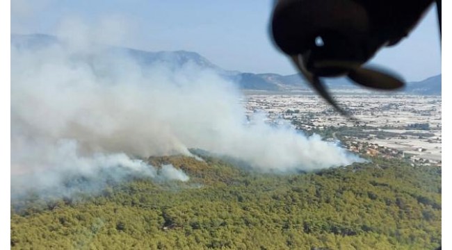 Seydikemer'de orman yangını