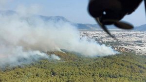 Seydikemer'de orman yangını