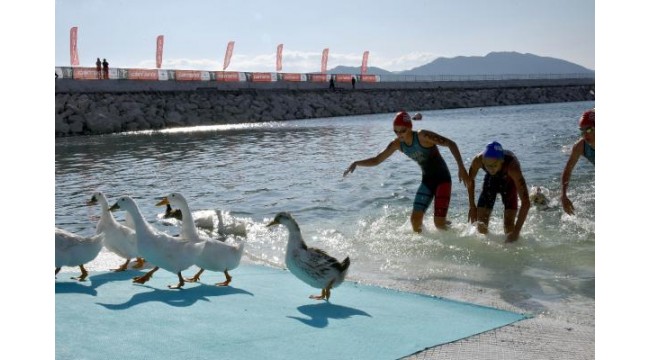 Sporcular, ördeklerle yarıştı