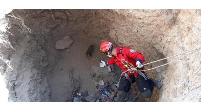 Su kuyusuna düşen domuz yavrusuna halatlı kurtarma