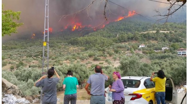 Yatağan'da çıkan yangın Çine'ye sıçradı