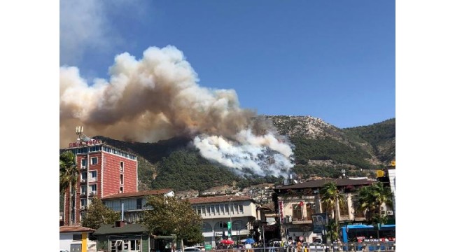 Hatay'da orman yangını