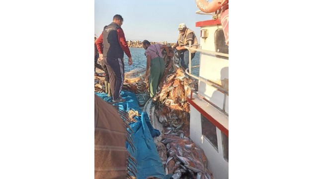 Çanakkaleli balıkçı, 15 bin tane lüfer yakaladı